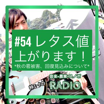 #54 レタス値上がりします! #54 レタス値上がりします!