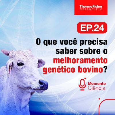 O que você precisa saber sobre o melhoramento genético bovino?