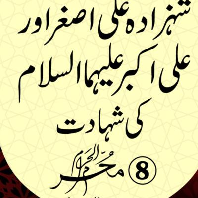 8th Muharram Shehzada Ali Akbar and Ali Asghar (A.S)