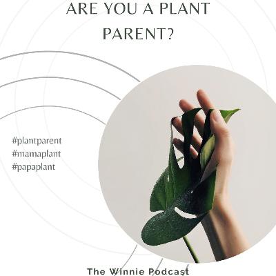 #EP7 Are You A Plant Parent? #EP7 Are You A Plant Parent?