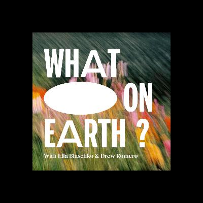 #1 What on Earth - is going on?!