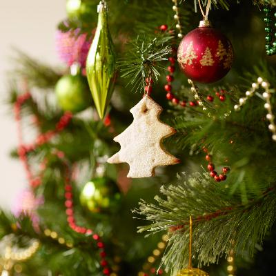 Episode 1: Ethical Christmas Episode 1: Ethical Christmas