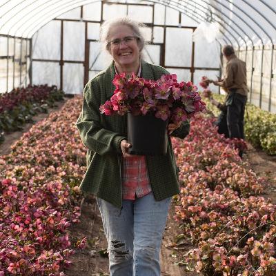 Setting standards for floral crops and writing the book Floral Standards with Diane Szukovathy of Jello Mold Farm