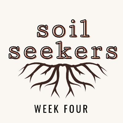 Soil Seekers: Week 4