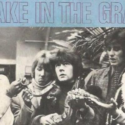 CHICA FORMAL T04C043 Hay una serpiente en mi bota (14/07/2024)