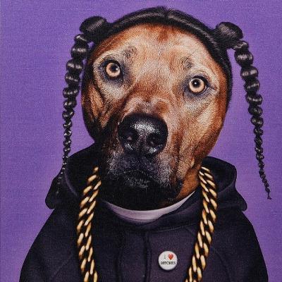 Episode 1: Ranking Rappers with Animals and Adjectives in Their Name