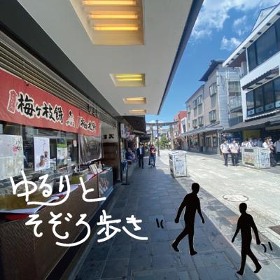 プロギングをやってみて