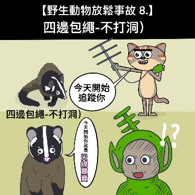 野生放鬆事故8. 四邊包繩-不打洞)