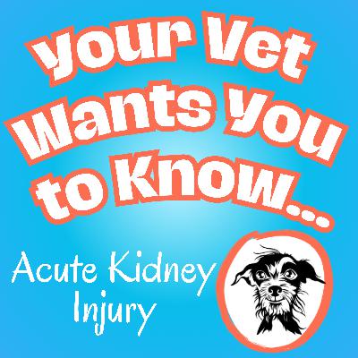 074 Acute Kidney Injury in Dogs and Cats