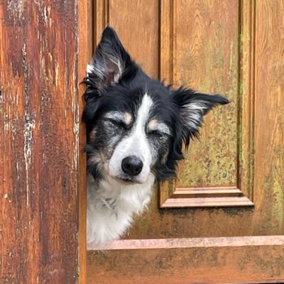 Episode :16 Great auntie Meg.