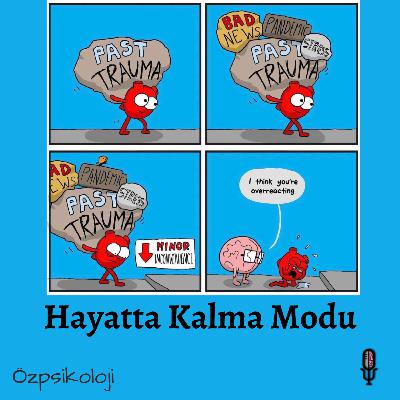 Hayatta Kalma Modu