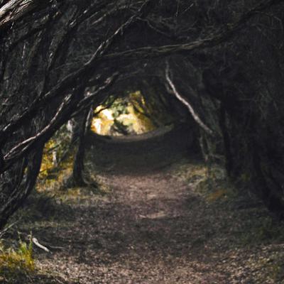 Etappe 2: Mijn God komt me helpen