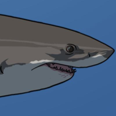 Shark Week Special 2025
