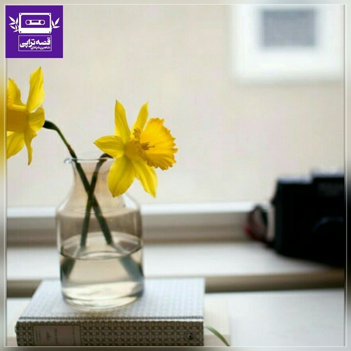 رادیو صدای زمین