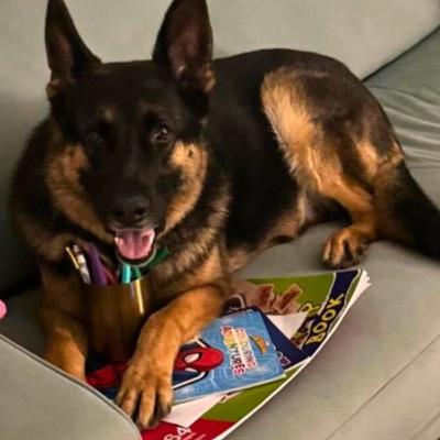 Special Episode: Honouring Arnie