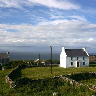 The green shoots in Ireland's rural economy