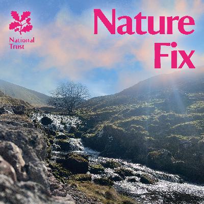 Welsh Myths and Waterfalls Walk