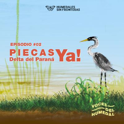 [VOCES DEL HUMEDAL] ¡PIECAS YA!