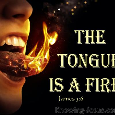 Daily Audio Torah ~ Nov 19, 2025 ~ How to Control Our Tongue?