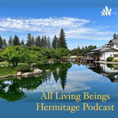 Practicing with Boxing Day - What Nourishment and Consumption Do We Allow Ourselves to Take In?