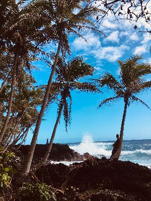 #51 - Island of Hawai'i #51 - Island of Hawai'i