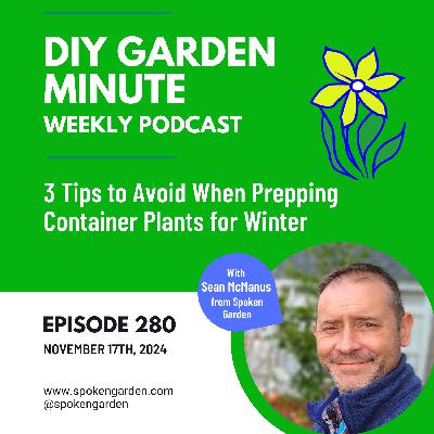 3 Tips to Avoid When Prepping Container Plants for Winter - DIY Garden Minute 3 Tips to Avoid When Prepping Container Plants for Winter - DIY Garden Minute