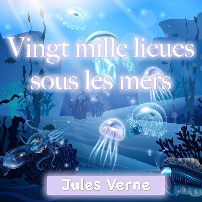 20000 lieues sous les mers. Partie 2. Chapitre 6.