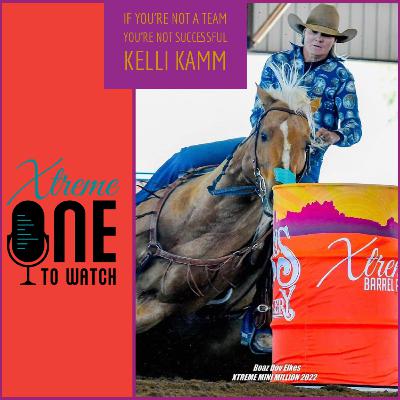 If you're not a team, you're not successful . - Kelli Kamm