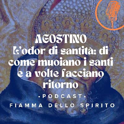 Sant'Agostino - con Alessia Brombin, oblata camaldolese e teologa