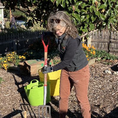 Here to Help: Master Gardener Debbie Zabel