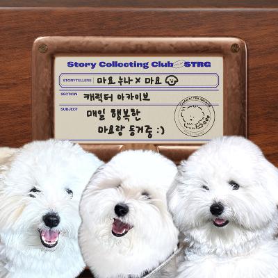 Ep.036 [캐릭터 아카이브] 대문자 E 강아지 마요와 대문자 I 보호자의 이야기