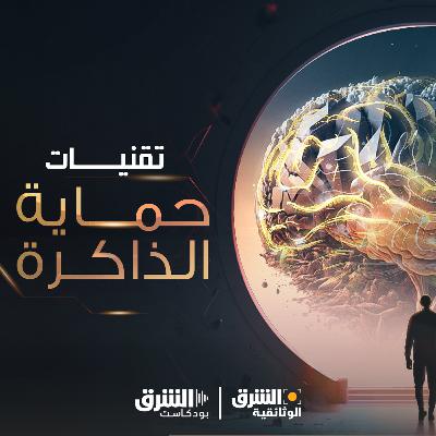 تقنيات حماية الذاكرة تقنيات حماية الذاكرة