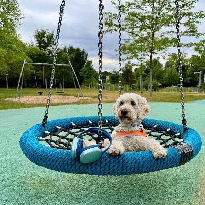 Wie beantrage ich einen Führhund? Wie beantrage ich einen Führhund?