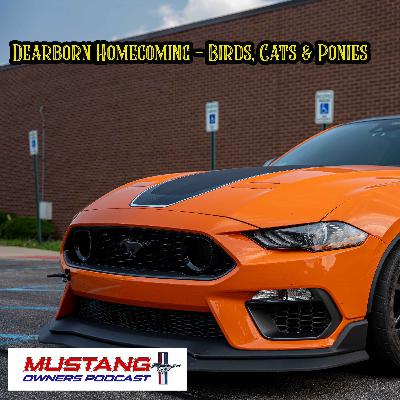 Birds, Cats & Ponies - Dearborn Homecoming