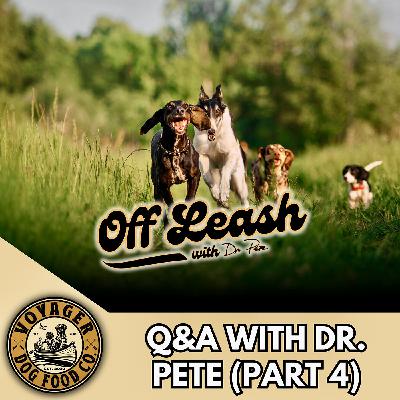 Q&A Part 4