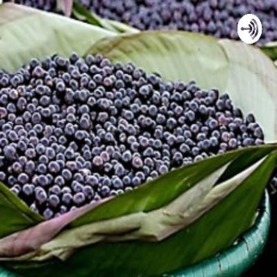 Economia do açaí