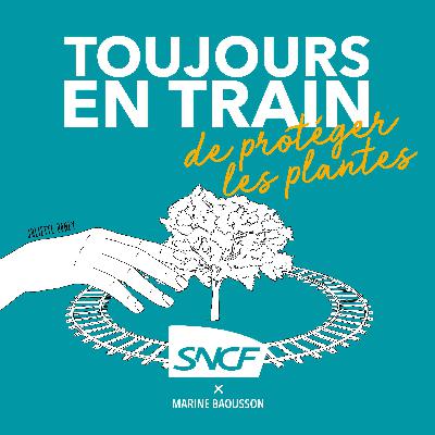 Toujours en train... de protéger les plantes