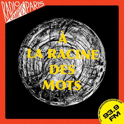 Episode 9 : Réinventer La Racine des Mots ? (Hors série)