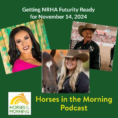 Getting NRHA Futurity Ready, for November 14, 2024 - HORSES IN THE MORNING