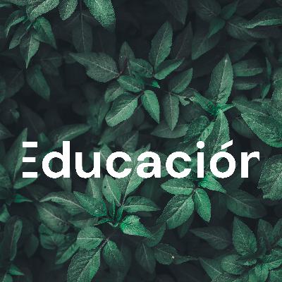 Luces y sombras de la Educación Dominicana actual