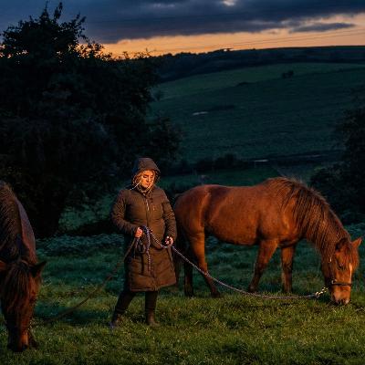 What Happens When We Run Out? The Harsh Reality of the UK Hay Shortage