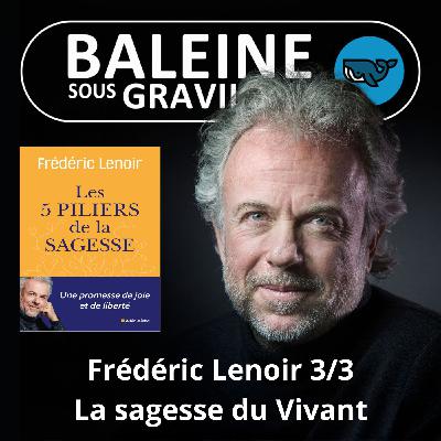 S07E72 Les 5 piliers de la sagesse 3/3 : Les leçons de Vivant (Frédéric Lenoir) S07E72 Les 5 piliers de la sagesse 3/3 : Les leçons de Vivant (Frédéric Lenoir)