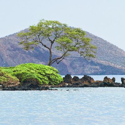 El llamado de Dios al arrepentimiento El llamado de Dios al arrepentimiento