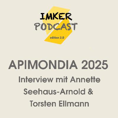 APIMONDIA 2025 - Deutschland gewinnt! Interview mit Torsten Ellmann & Annette Seehaus-Arnold