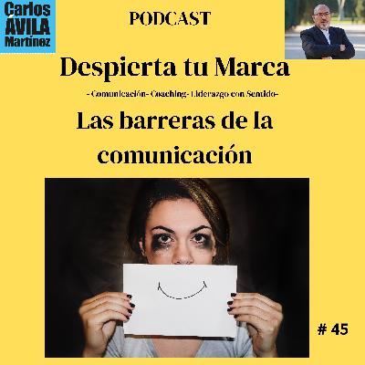 Las barreras de la comunicación Las barreras de la comunicación