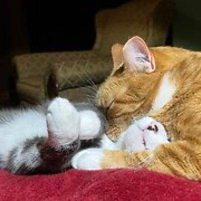 Episode 3026 CWSA 11/22/25