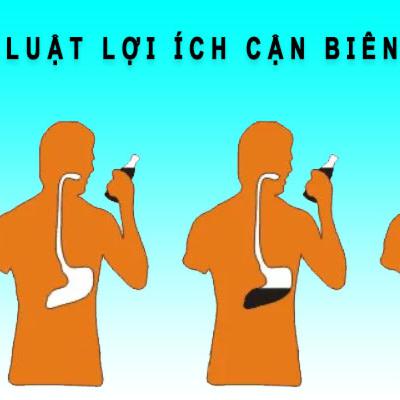 Quy luật lợi ích cận biên giảm dần là gì? Giá trị sử dụng và trao đổi?