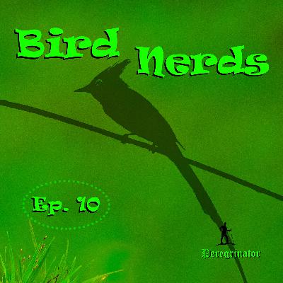 Ep 10. Birds in Well-Wooded Areas