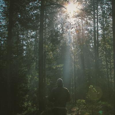 Innere Stille finden - Teil 1