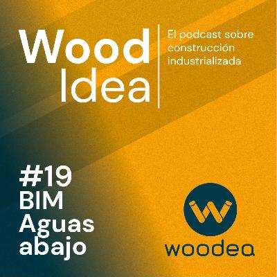 Wood Idea #19 | BIM Aguas abajo